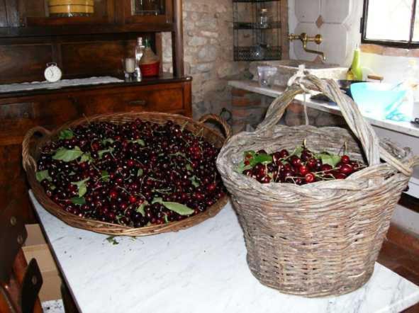 Cascina La Buca ξενώνας Castello di Serravalle Εξωτερικό φωτογραφία